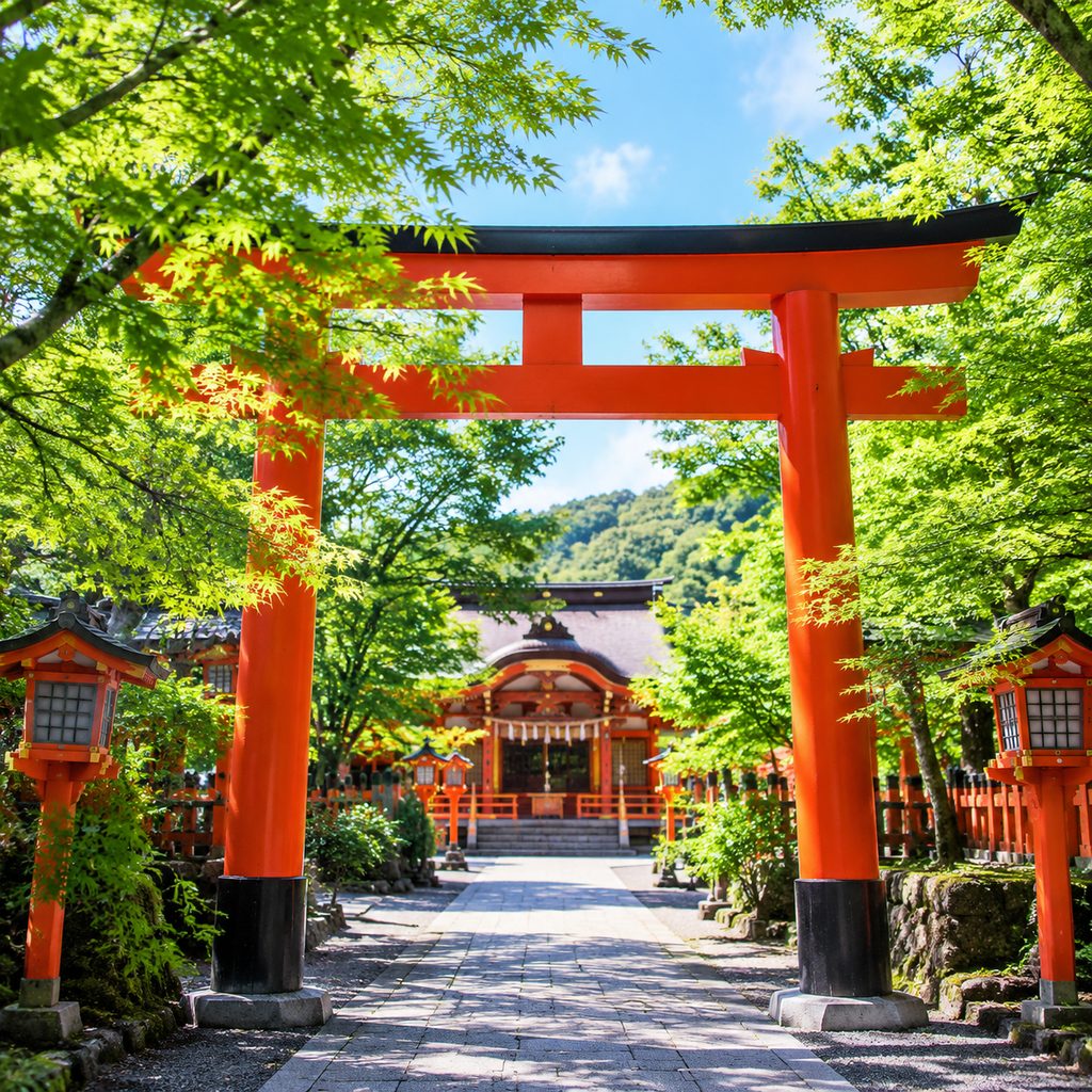 Torii gate framed by green maples in Japan